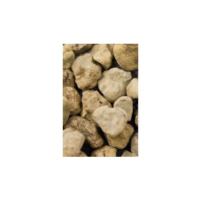 Salsa di Tartufo Bianco Salsa di Tartufo Bianco