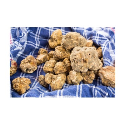Salsa di Tartufo Bianco Salsa di Tartufo Bianco