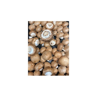 Salsa di Tartufo Bianco Salsa di Tartufo Bianco