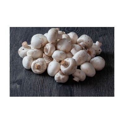 Salsa di Tartufo Bianco Salsa di Tartufo Bianco