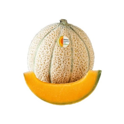 Melone Mantovano IGP Taste of Italy