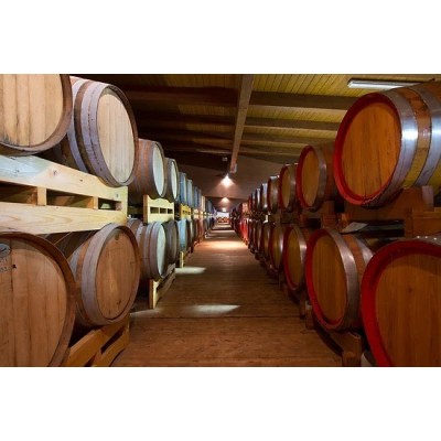 Aceto Balsamico di Modena IGP - Etichetta Rossa Aceto Balsamico di Modena IGP - Etichetta Rossa