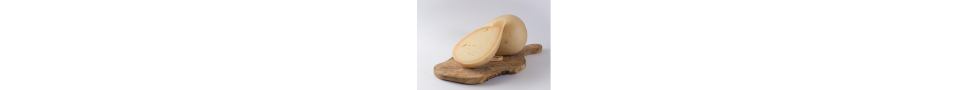 Po Valley cheeses